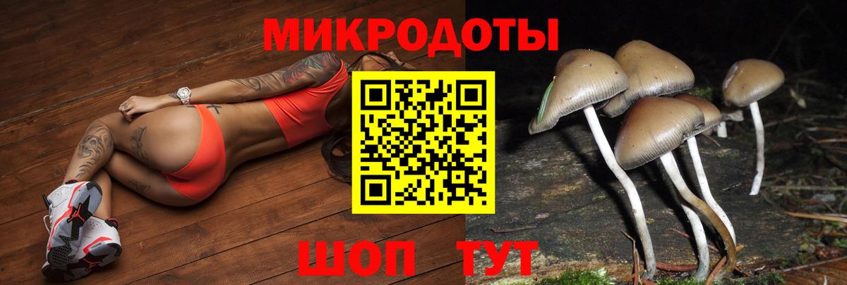 Галлюциногенные грибы ЛСД  Вход с VPN  Каменск-Шахтинский  Галлюциногенные грибы MAGIC MUSHROOMS 